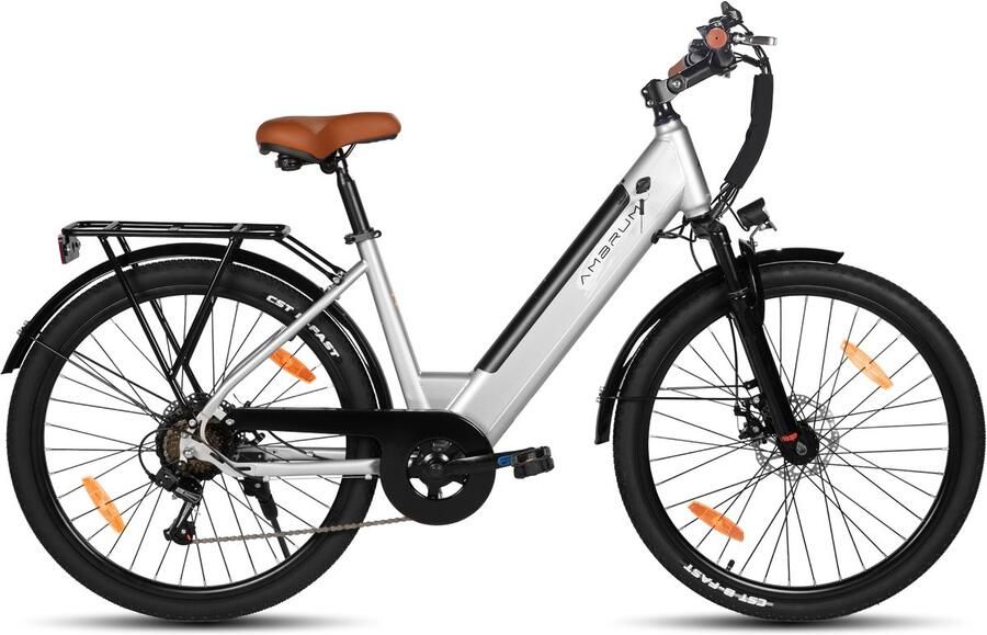 Hiland Elektrische Stadsfiets 26 inch E-bike 250W Motor 36V 7.8Ah Accu 10 Versnellingen Schijfrem Uniseks