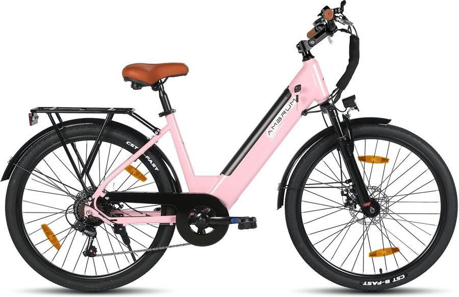 Hiland Elektrische Stadsfiets 26 inch E-bike 250W Motor 36V 7.8Ah Accu 11 Versnellingen Schijfrem Uniseks