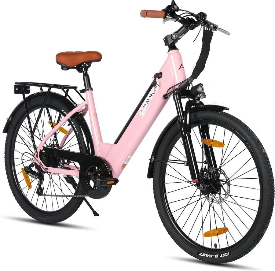 Hiland Elektrische Stadsfiets 26 inch E-bike 250W Motor 36V 7.8Ah Accu 12 Versnellingen Schijfrem Uniseks