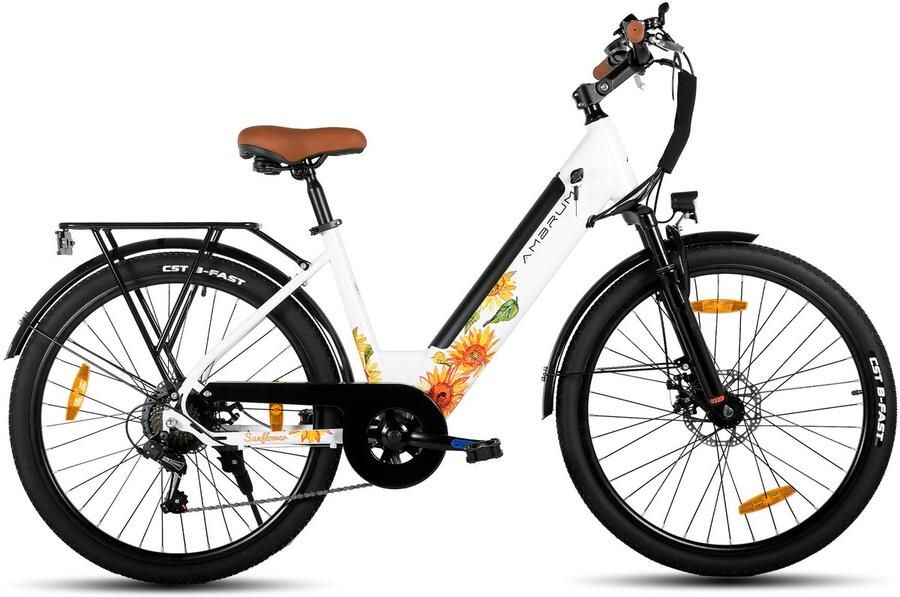 Hiland Elektrische Stadsfiets 26 inch E-bike 250W Motor 36V 7.8Ah Accu 13 Versnellingen Schijfrem Uniseks