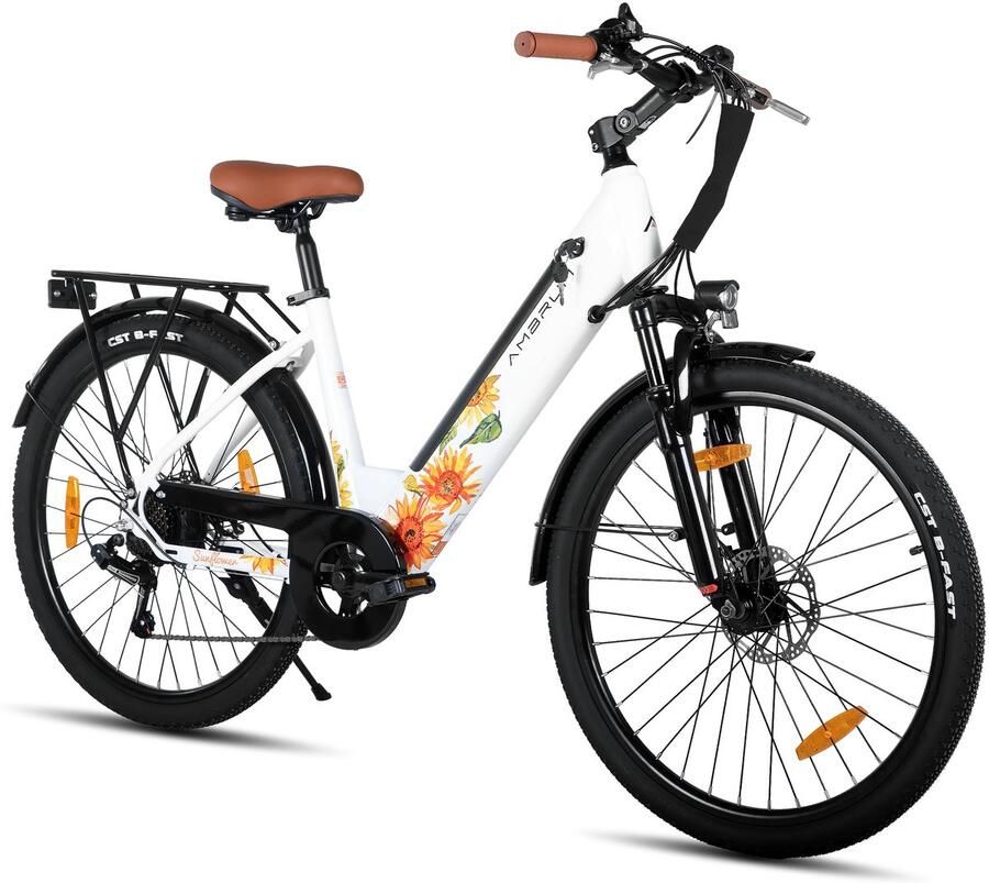 Hiland Elektrische Stadsfiets 26 inch E-bike 250W Motor 36V 7.8Ah Accu 14 Versnellingen Schijfrem Uniseks