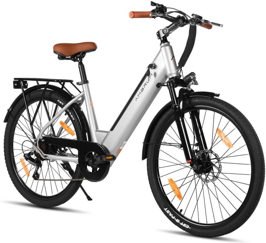 Hiland Starry elektrische stadsfiets 26 inch 250W motor 60 km actieradius 36V 10 4Ah accu Shi o 7-versnellingen Unisex grijs