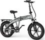RCB Elektrische fatbike 48V 20.8Ah Mountainbike Actieradius 100km 25km u 250W motor 7 versnellingen met App en NFC -Zwart - Thumbnail 2