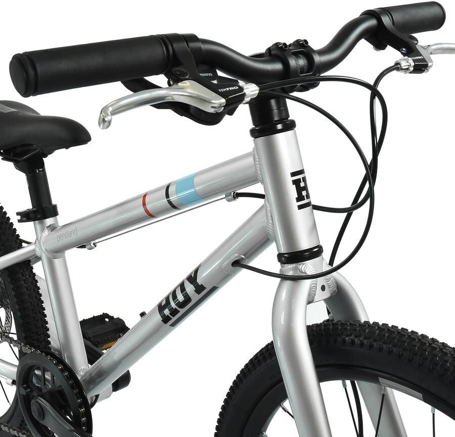 Hoy Pentland 20 Zilver Kinder-mountainbike