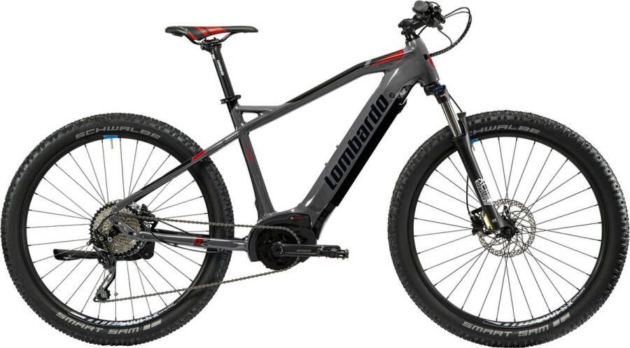 inandoutdoormatch E-Mountainbike Hunter Met display Elektrische fiets met 24 versnellingen 27 5 inch wielmaat Racefiets Stadsfiets Framemaat 48cm 120km- Grijs