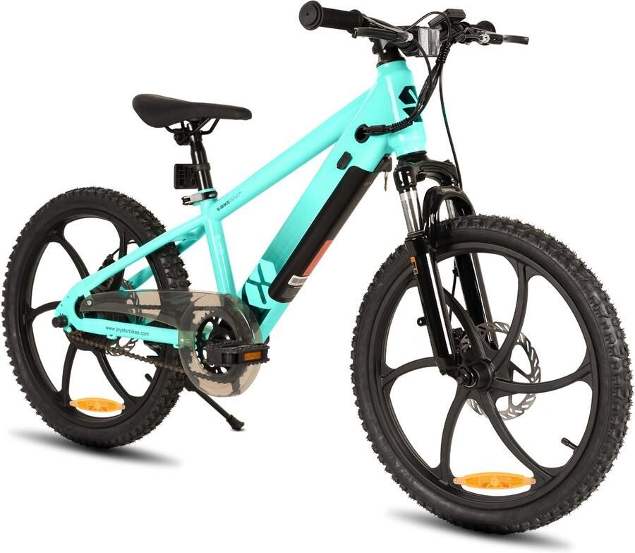 JOYSTAR Elektrische Fiets E-Bike – 20 Inch – Voor Kinderen Tieners – 250W Motor – 1 Versnelling – Bladwiel – Mechanische Schijfrem – Groente