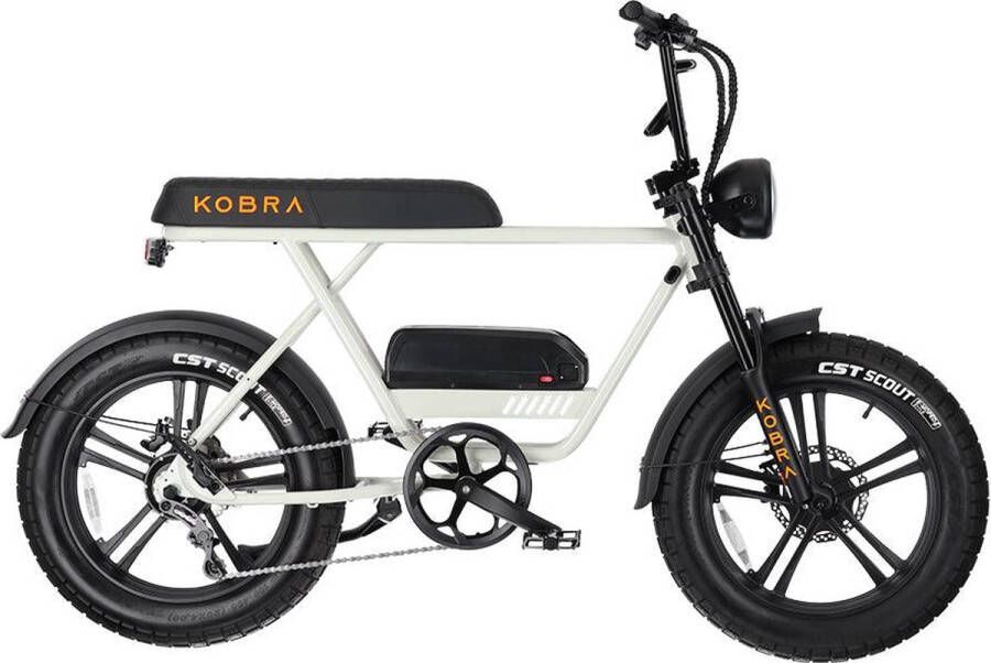 Kobra V1.2 Fatbike Chalk 250W Elektrische Fatbike