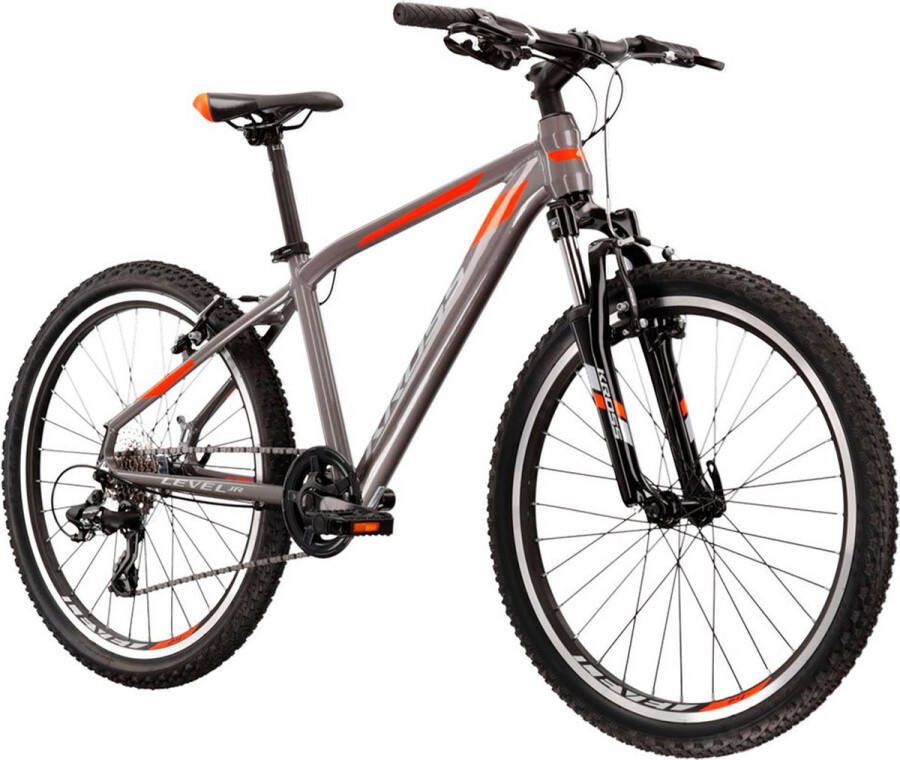Kross Level 2.0 24´´ Tourney Mountainbike Grijs Jongen - Foto 2