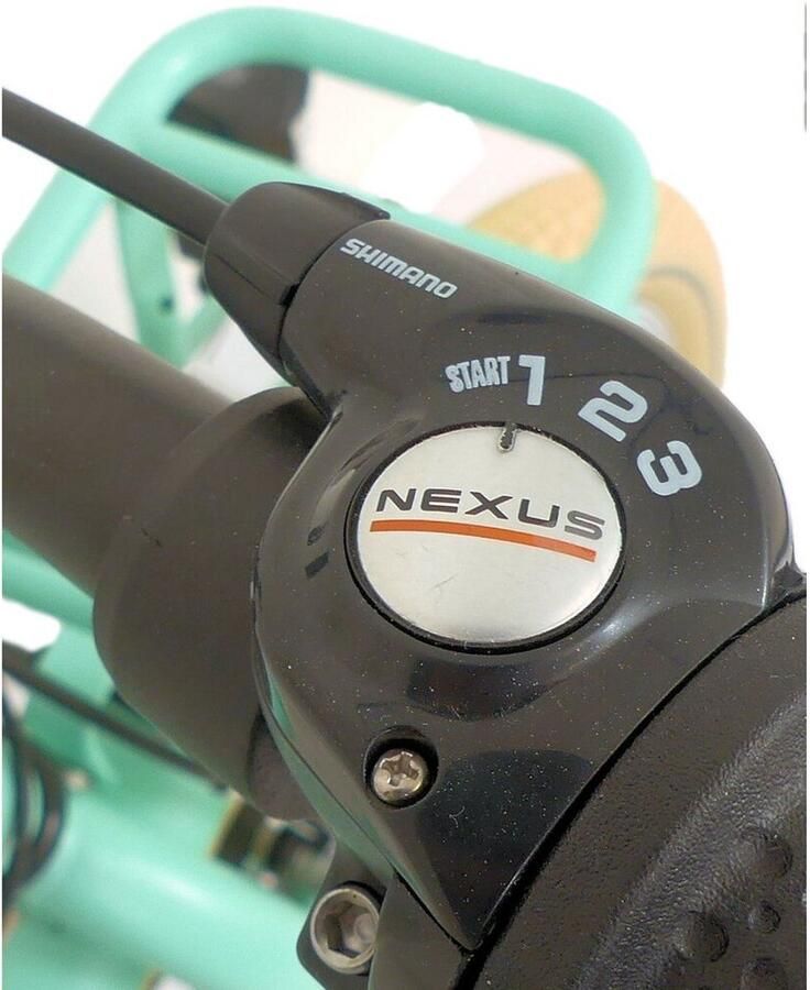 Kyoso Blossom Breeze 24 inch Nexus-3 kinderfiets met terugtraprem – Mat mintgroen