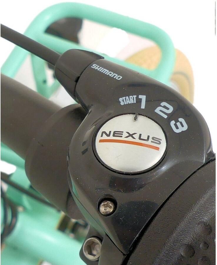 Kyoso Blossom Breeze 24 inch Nexus-3 kinderfiets met terugtraprem – Mat mintgroen