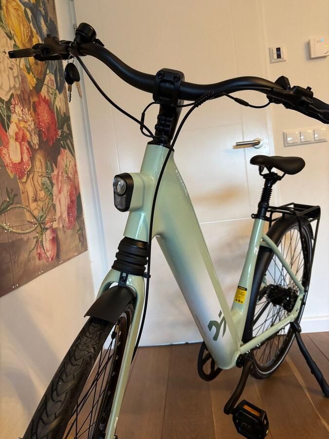 Lamassu E-bike dames met riemaandrijving
