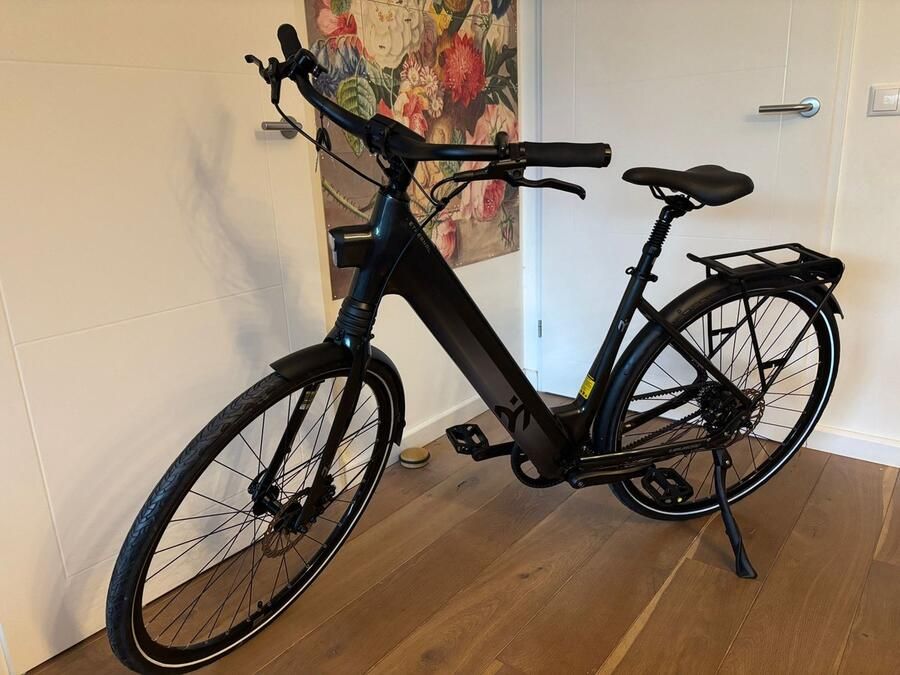 Lamassu E-bike met riemaandrijving
