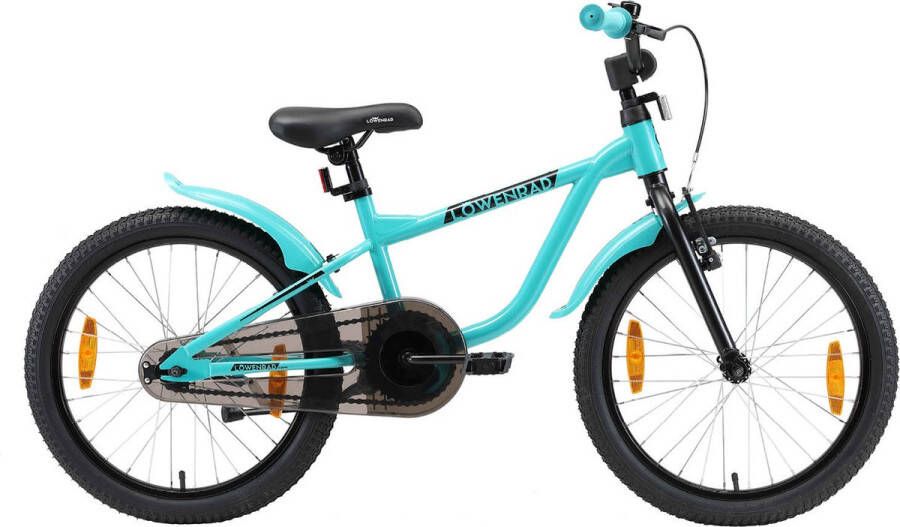 Löwenrad kinderfiets 20 inch wielen mintgroen