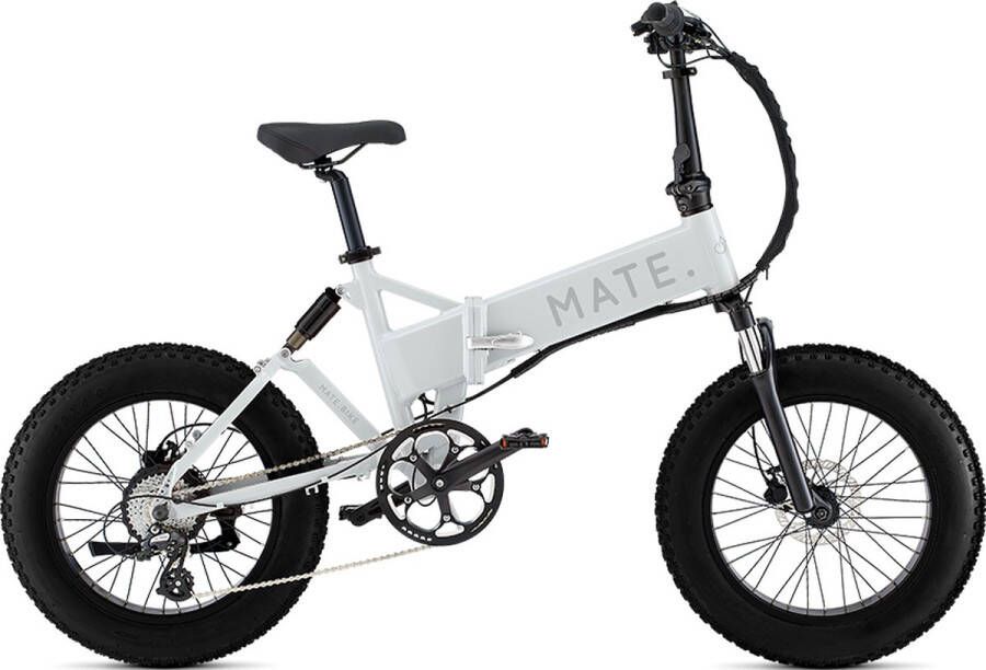 Mate X 250W White Ice E-Fatbike 120km range Hydraulische rem Opvouwbaar Kleur display