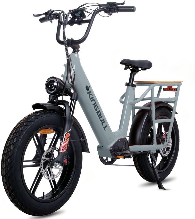 MAXTURN Voyager 2.0 Elektrische fiets – Verwijderbare 720 Wh lithiumaccu – 20×4 0 inch vetbanden – 25 km u topsnelheid