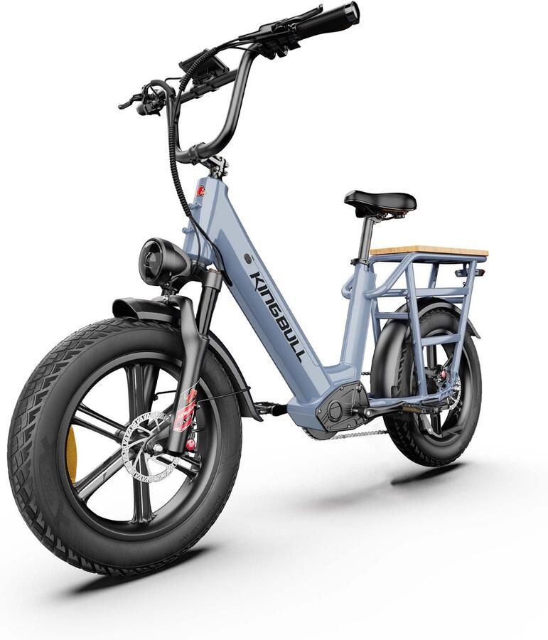 MAXTURN Voyager 2.0 Elektrische fiets – Verwijderbare 720 Wh lithiumaccu – 20×4 0 inch vetbanden – 25 km u topsnelheid grijs