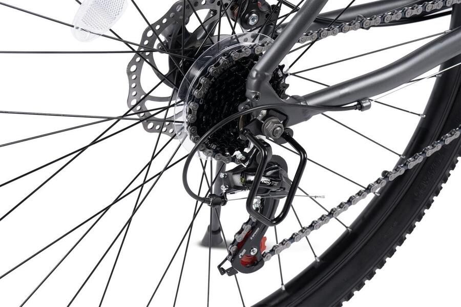 Merax 29 Inch Mountainbike Hardtail 100mm Voorvork 21 Versnellingen Shi o Tourney Aluminium Frame Mechanische Schijfrem Trekkingfiets voor Volwassenen 175-190cm Grijs