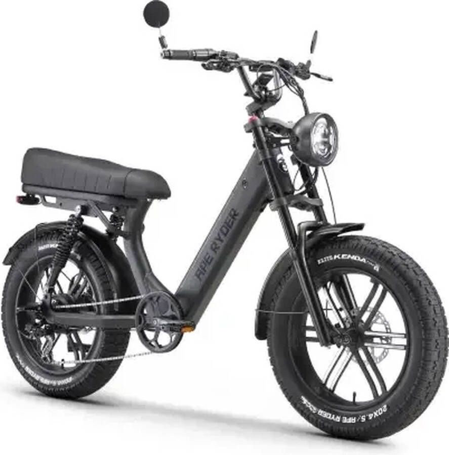 Ape Ryder MD10 PRO 250W- Elektrische Fatbike Zwart Art 3 slot