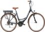 Minerva E-Power Elektrische Stadsfiets 28 Inch Middenmotor E-bike 49 cm Damesfiets 9 Versnellingen V-Brakes Zwart - Thumbnail 1