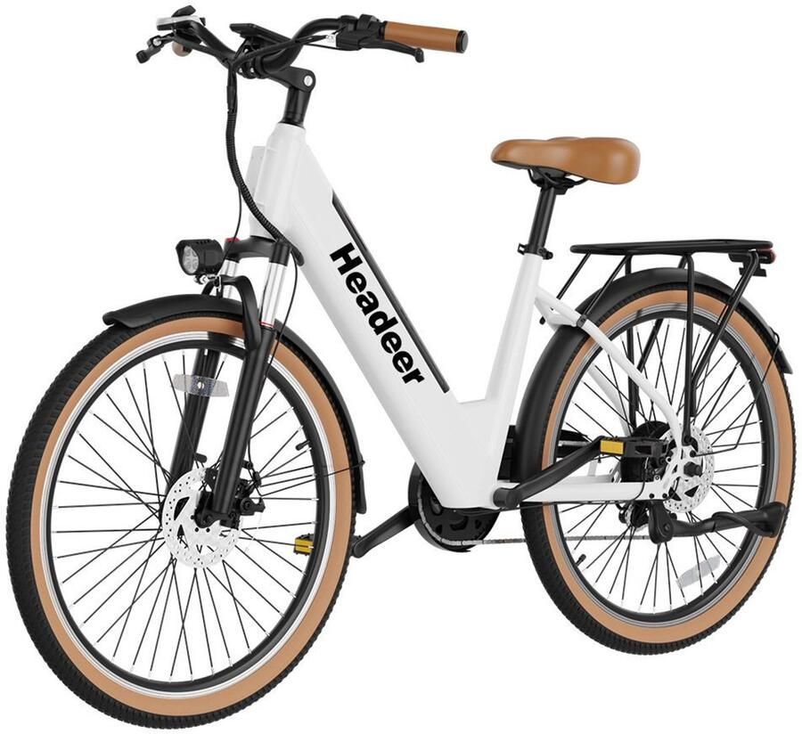 Minicee 26 inch Elektrische fiets 250W 48V11.5Ah 7 versnellingen Volwassene assistentiefiets