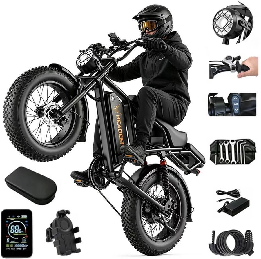 Minicee Elektrische fiets Volwassen 20 Inch Elektrische Fatbike 250W 48V20AH Hydraulische Rem 80KM Actieradius
