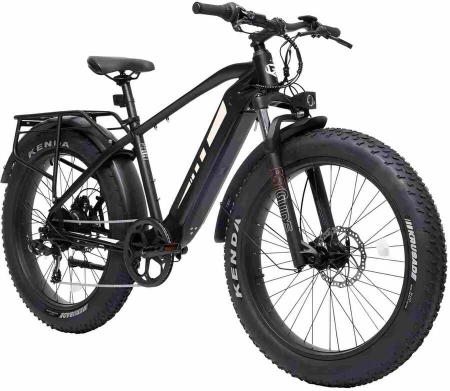 Nie d D6 Fat Tire Mountain Elektrische fiets 48V 13.5 A batterij 90km lange levensduur van de batterij 250W motor topsnelheid 25km h
