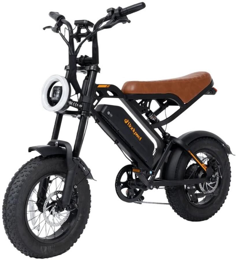 Nie d M16 Elektrische Fiets-16 x 4.0 Inch Fatbike Banden 48v 13.5 Ah 250w Motor Actieadius 50 km-Dubbele schijfrem