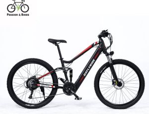 Passion4bikes P4B Elektrische Fiets Elektrische Mountainbike E-bike 1 jaar garantie