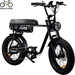 Passion4bikes P4B Fatbike Elektrische Fatbike Elektrische Fiets E-bike 1 jaar garantie