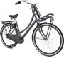 Popal Daily Dutch Basic+ N3 Transportfiets Stadsfiets Dames 47 centimeter Petrol Blauw - Thumbnail 1