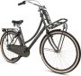 Popal Daily Dutch Basic+ N3 Transportfiets Stadsfiets Dames 53 centimeter Army Green - Thumbnail 1