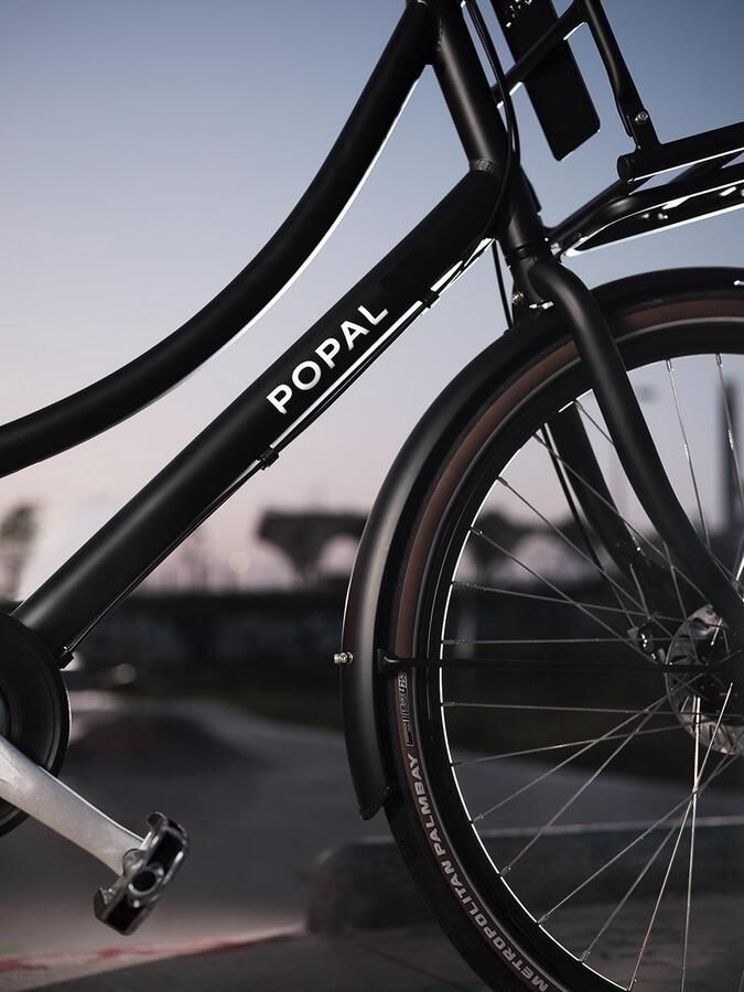 Popal Daily Dutch Prestige N3 Transportfiets Stadsfiets Dames 47 centimeter Mineral Green