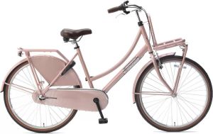 Popal Transportfiets Daily Dutch Basic+ 26'' Zalm
