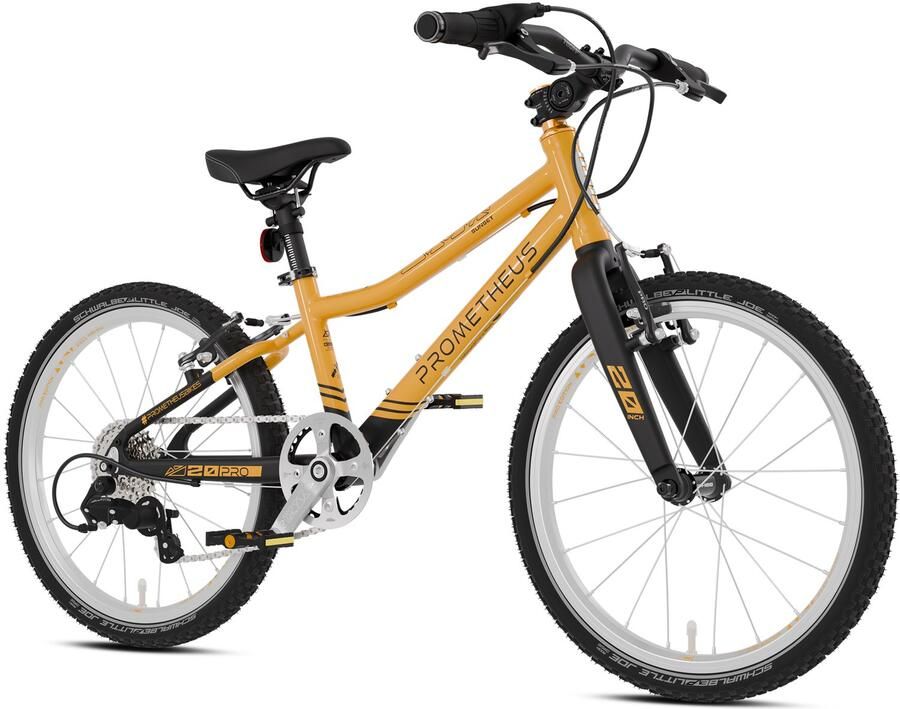 PROMETHEUS BICYCLES Kinderfiets 20 inch vanaf 6 jaar microSHIFT 7v V-brake 7 kg – PRO