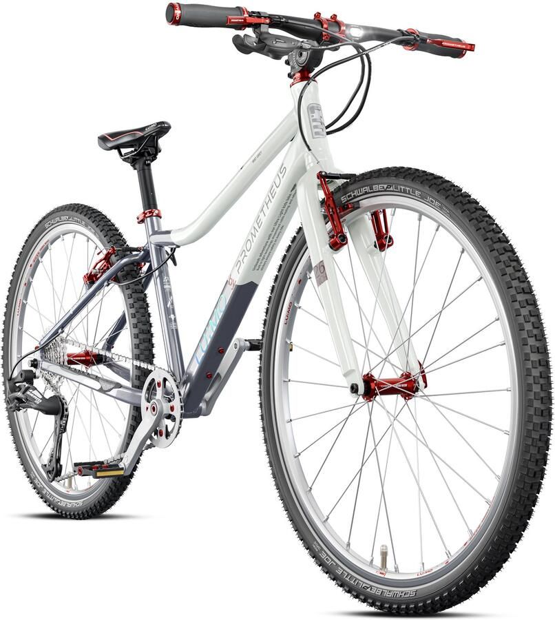 PROMETHEUS BICYCLES LU:MO Kinderfiets 26 inch Premium+ 10 3 kg Verlichting 10 jaar