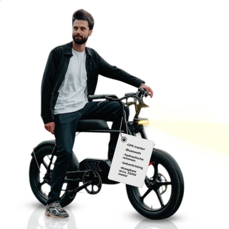 Pulse Q.1 City Fatbike Electrisch E Bike Fiets met Hydraulische Rem LCD Scherm en GPS Tracker- 250W Motor