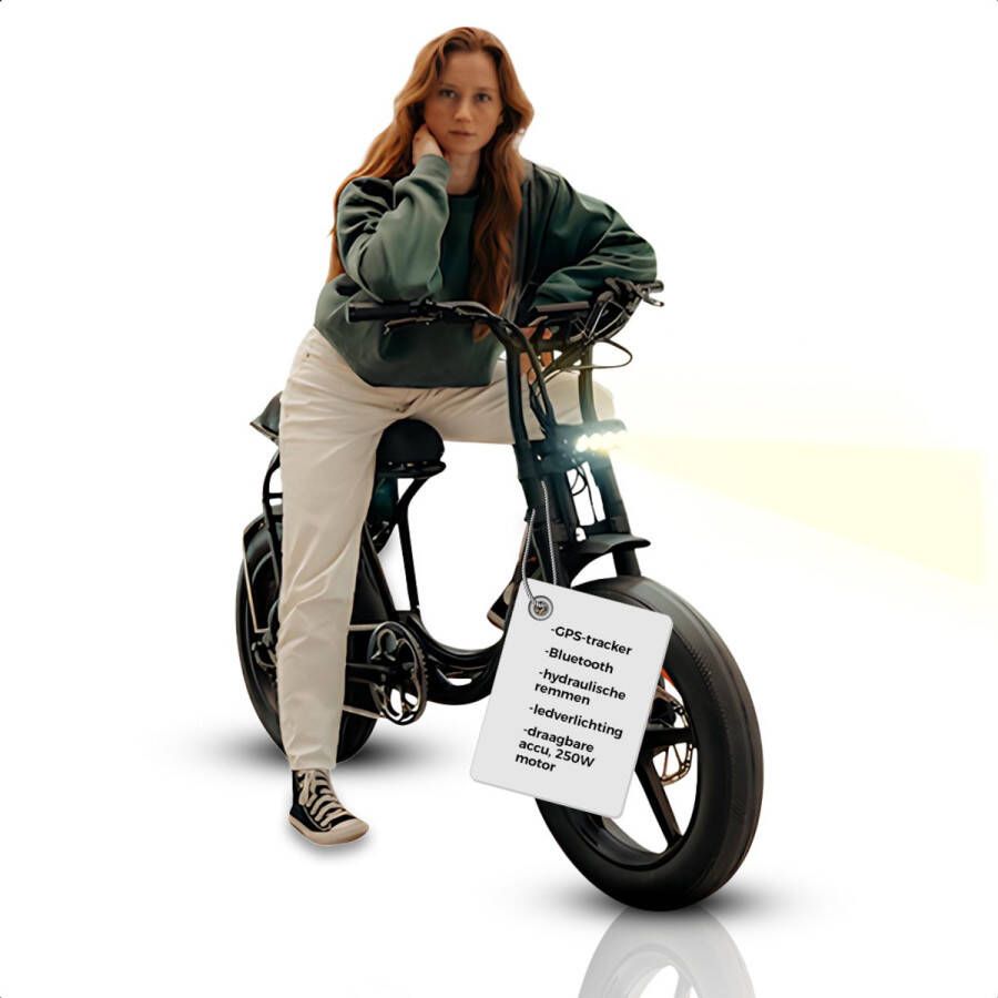 Pulse S.6 Go Fatbike Electrisch E Bike Fiets met Hydraulische Rem Led Scherm en GPS Tracker 250W Motor