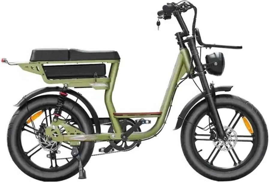 QmWheel V20 Comfort Elektrische Fatbike Lage Instap 20 Inch 250W Motor 7 Versnellingen 60 km Actieradius Hydraulische Schijfrem Groen