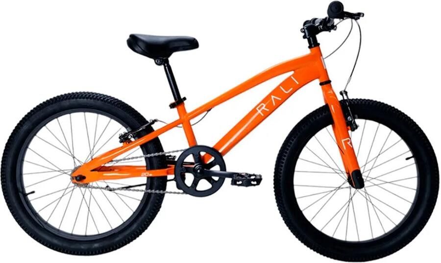 Rali Pro 2 20´´ 2025 Mountainbike Oranje Jongen