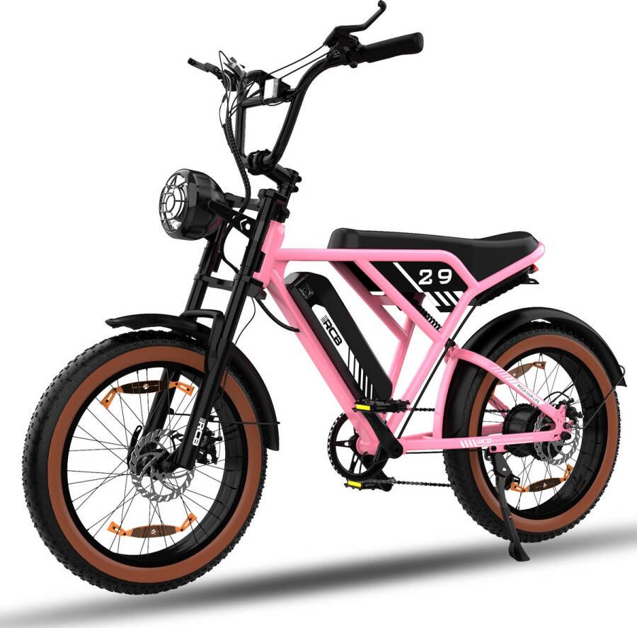 RCB Elektrische Fatbike RK29| Electric Off-Road Bike E-bike 250W Motor 20 Inch Roze