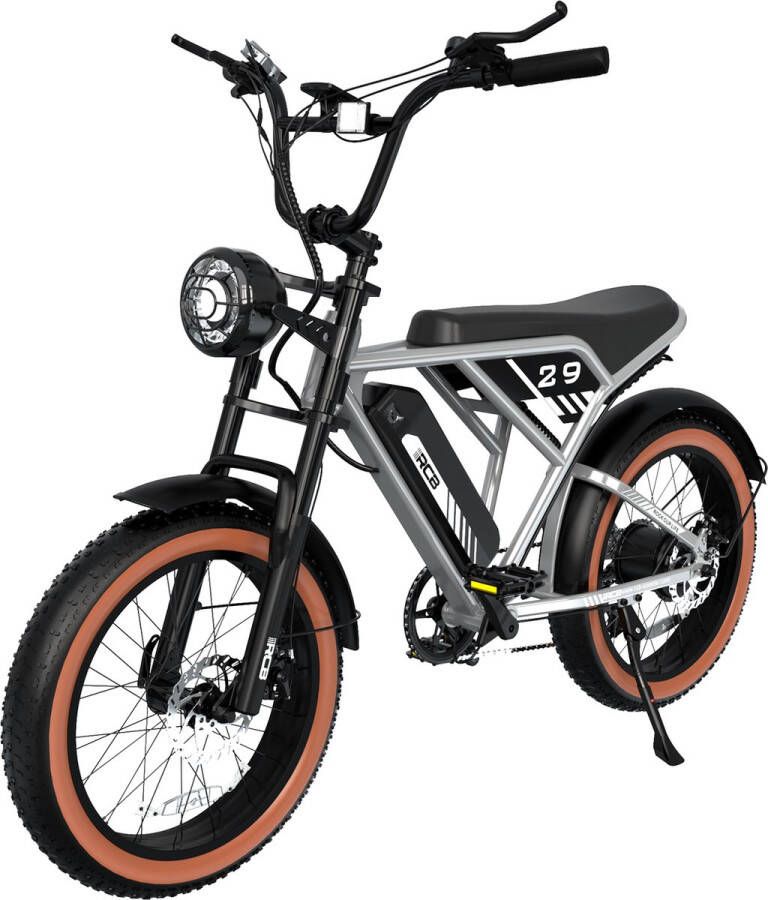 RCB Elektrische Fatbike Electric Off-Road Bike E-bike 250W Motor 20 Inch Zilver