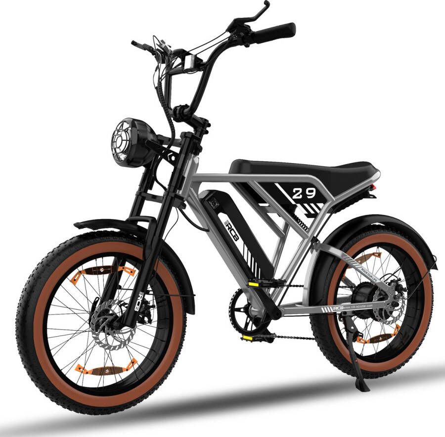 RCB Elektrische Fatbike Electric Off-Road Bike E-bike 250W Motor 20 Inch Zilver