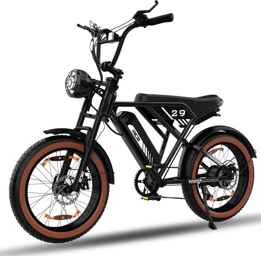 RCB Elektrische Fatbike Electric Off-Road Bike E-bike 250W Motor 20 Inch Zwart