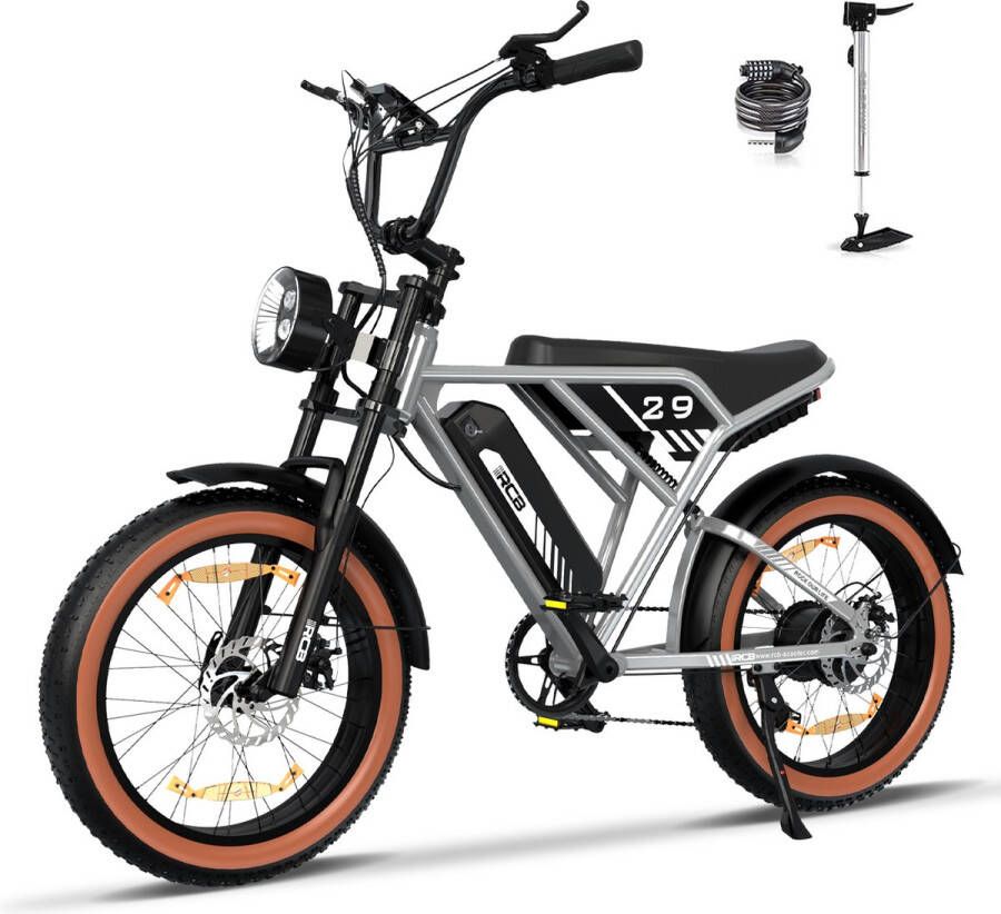 RCB Elektrische Fatbike Electric Off-Road Bike E-bike 250W Motor 20 Inch Zilver