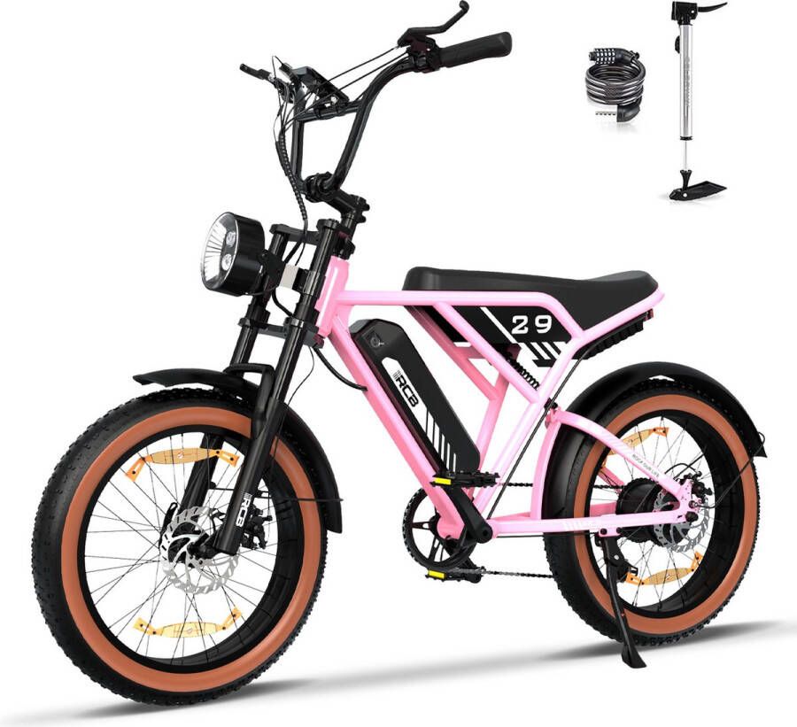 RCB Elektrische Fatbike RK29| Electric Off-Road Bike E-bike 250W Motor 20 Inch Roze