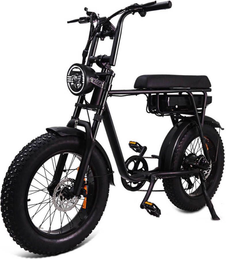Retrowheel Fatbike zonder gashendel 250W| geen helmplicht| 60km range| 25km h| E-Bike |mtb