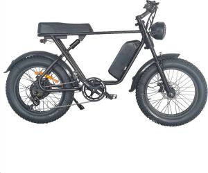 Shoppen Voor Iedereen C91 Fatbike E-bike Fat tire