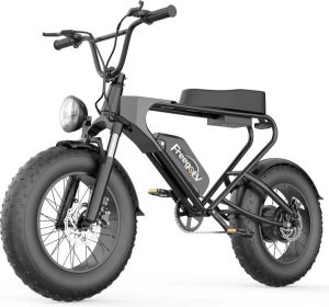 Shoppen Voor Iedereen DK200 Fatbike E-bike- 1200 watt 50 km h Fat tire