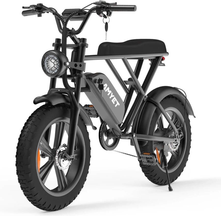 V9 Fatbike E-Bike 250Watt motorvermogen topsnelheid 25 Km U 20X4.0” Banden 7 Versnellingen