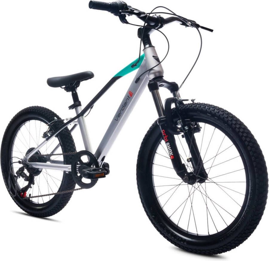 Sun Baby Verdant Kinderfiets voor jongens van 6 tot 10 jaar 20 inch 6 versnellingen Shimano kinderfiets verstelbare hoogte (Zilver)